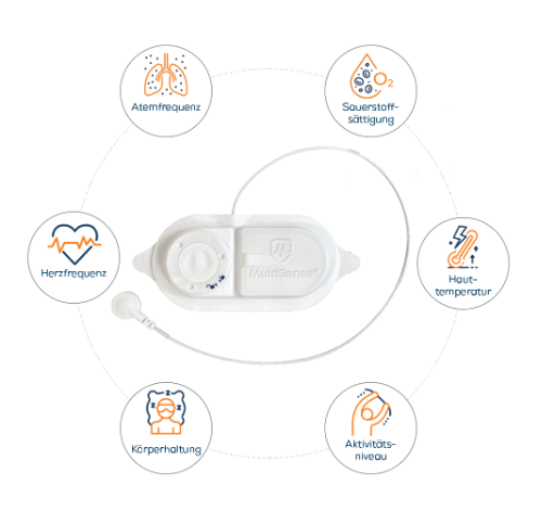 reds-diag-Produkte-Dienstleistungen
